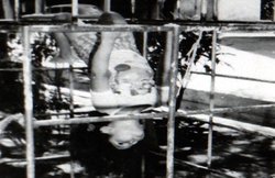 सचिन तेंदुलकर को याद आया अपना बचपन, फेसबुक पर लोगों का दिल जीत रही उनकी यह पुरानी तस्वीर