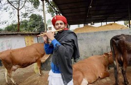 Tej Pratap Yadav, Tej Pratap Yadav Krishna, Tej Pratap Yadav BJP, Tej Pratap Yadav BJP Alliance, RJD BJP Alliance, Y Category Security, Tej Pratap Yadav Y Category Security, Narendra Modi, BJP, Nitish Kumar, India, Jansatta