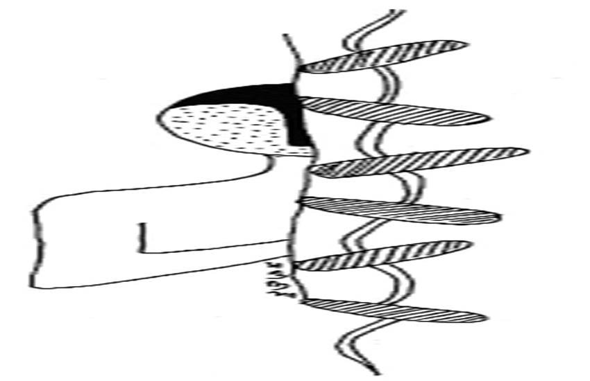 प्रतीकात्मक चित्र।