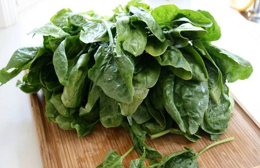Disadvantage of Spinach, Spinach, Spinach for health, harms from Spinach, Harms from palak, palak ke nuksaan, health news, health tips, health news in hindi