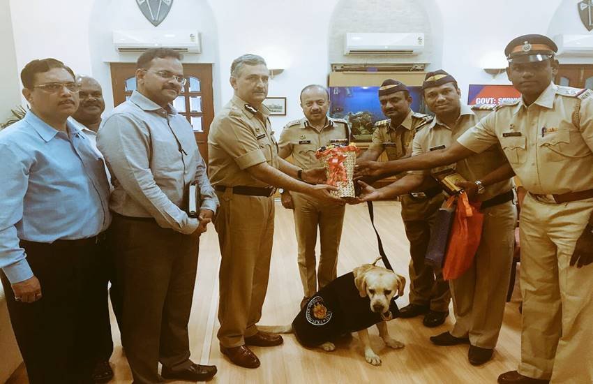 sniffer dog, All India Police Duty, MAX, mumbai police dog Max, Caesar