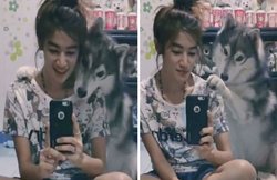 वीडियो: देखें कुत्ते का सेल्फी प्रेम, लड़की के साथ परफेक्ट Selfie लेने के लिए दिए ऐसे-ऐसे पोज