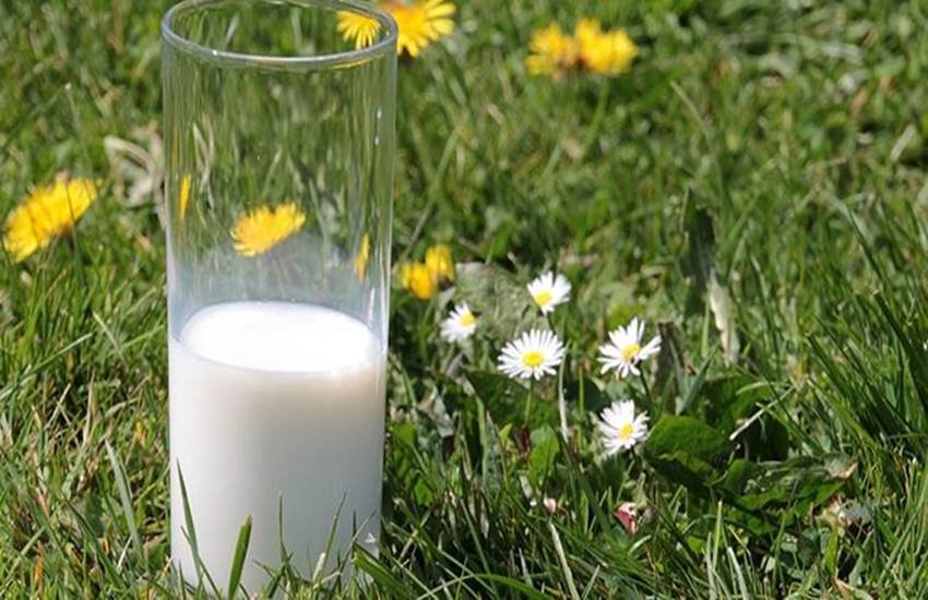 Milk, milk benefits, milk benefits of health, milk fat, double tond milk, double tond milk for health, double milk health, double tond ilk benefits, health news, health tips. health news