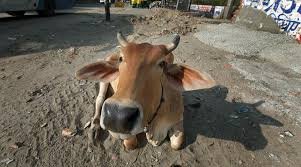 राजनीतिः संकट में वैज्ञानिक नजरिया