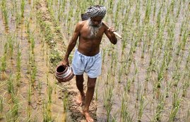 Demonetisation, demonetisation effects, Uttar Pradesh