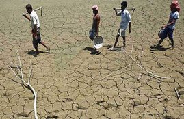 farmers, farmers, farmers plight, farmers sucide