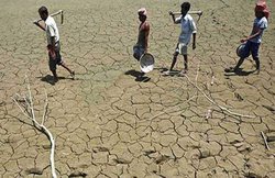 यूपी: 44 लाख किसानों के हुए कर्ज माफ, बैंकों ने ढूंढ निकाले थे 66 लाख