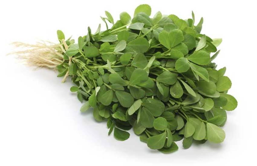 Fenugreek, fenugreek benefits, Fenugreek leaves benefits, Fenugreek seeds benefits, methi benefits, methi ke Fayde, methi for health, health benefits of Fenugreek, health news, health news in hindi