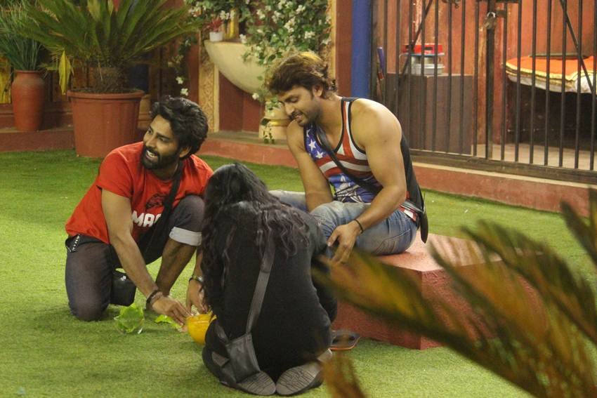 Bigg boss season 10, Manu Punjabi, Monalisa, Vikrant Singh Rajpoot, Bigg Boss Contestant Manu Punjabi, Salman Khan, Manu Punjabi Birthday, Manu Punjabi and Priya Saini relationship, hindi news, entertainment, monalisa marriage, monalisa marriage pics