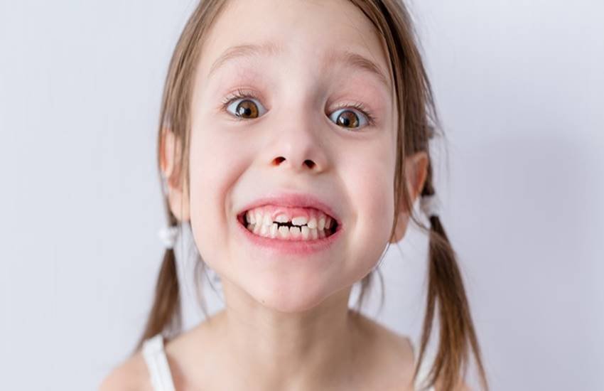 Neem, neem sticks, neem chew sticks, benefits of neem, neem for health, neem for teeth, benefits of neem sticks, neem sticks for teeth, health news, health tips, health news in hindi
