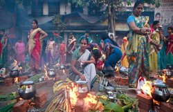 पोंगल 2017: इस तरह अपने दोस्तों, परिवार और रिश्तेदारों को दें शुभकामनाएं