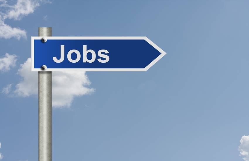 OAVS, OAVS recruitment, OAVS jobs, teacher vacancy in OAVS, teacher jobs in OAVS, teacher jobs, teacher recruitment, teacher vacancy, government jobs, latest jobs, latest jobs news, government jobs news, sarkari naukri