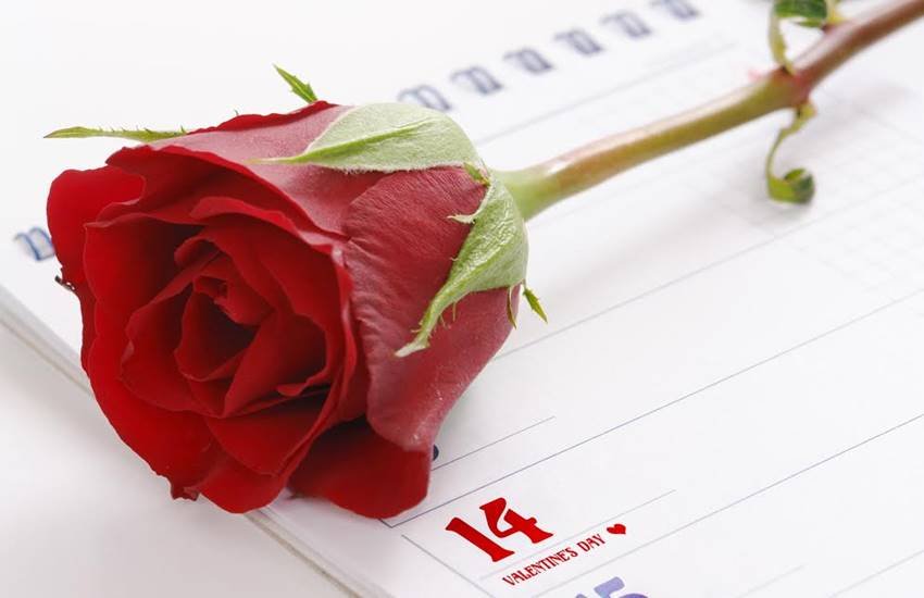 Rose day, Rose Day Images Rose day, Rose Day Images