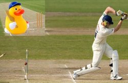 क्रिकेट के ‘डक’ और ‘बत्तख के अंडे’ में क्या है संबंध? जानिए इसके पीछे की पूरी कहानी