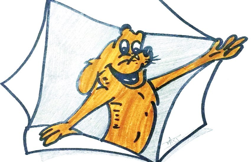 Jansatta Sunday Column, jansatta Hindi Geet, jansatta nanhi Duniya Column, Hindi geet, Chotuji ne lda chunav