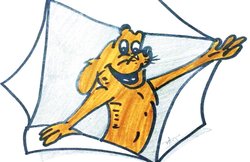 नन्ही दुनिया : गीत, छोटूजी ने लड़ा चुनाव