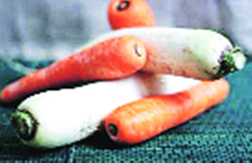 Jansatta Sunday Column, jansatta ravivariya Column, tuber in India, Tuber Farming in India, carrot Farming