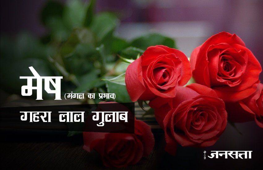 rose day, happy rose day 2017, happy rose day, rose day 2017, rose day images, happy rose day images, rose day images 2017, valentine day, valentine day 2017, rose day tips, rose for girlfriend, rose day gift ideas, rose day gifts, rose day latest news