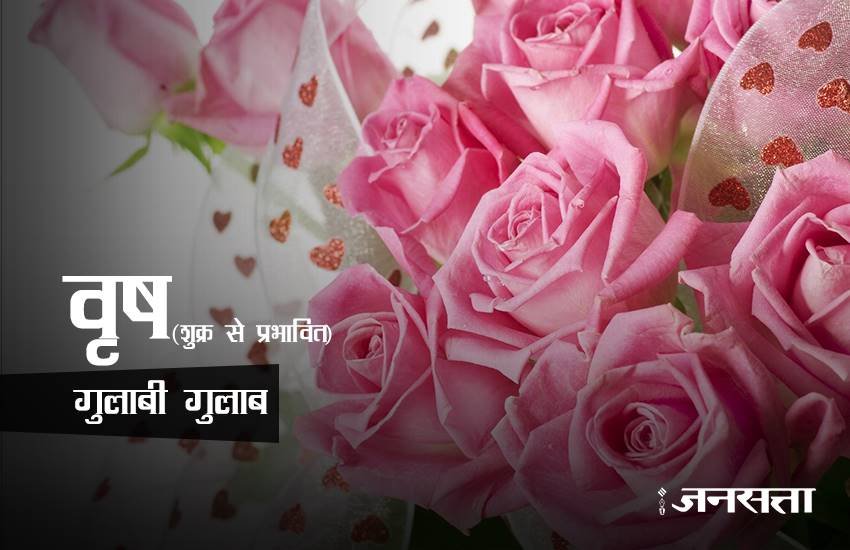 rose day, happy rose day 2017, happy rose day, rose day 2017, rose day images, happy rose day images, rose day images 2017, valentine day, valentine day 2017, rose day tips, rose for girlfriend, rose day gift ideas, rose day gifts, rose day latest news
