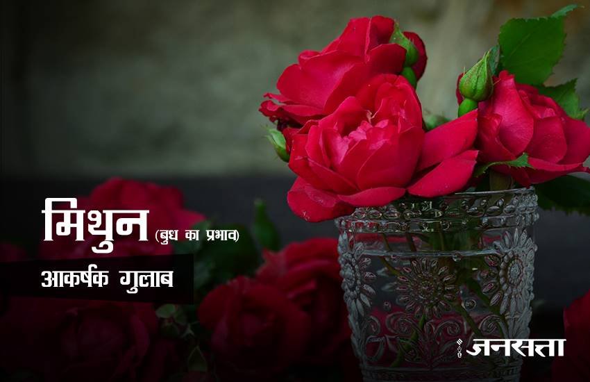 rose day, happy rose day 2017, happy rose day, rose day 2017, rose day images, happy rose day images, rose day images 2017, valentine day, valentine day 2017, rose day tips, rose for girlfriend, rose day gift ideas, rose day gifts, rose day latest news