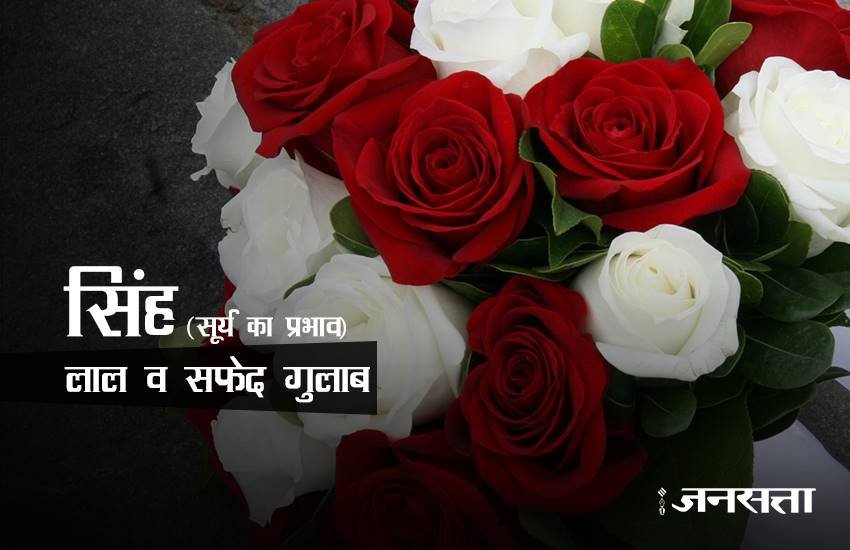 rose day, happy rose day 2017, happy rose day, rose day 2017, rose day images, happy rose day images, rose day images 2017, valentine day, valentine day 2017, rose day tips, rose for girlfriend, rose day gift ideas, rose day gifts, rose day latest news