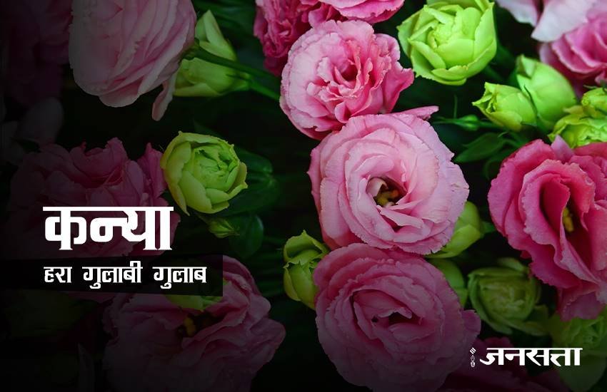 rose day, happy rose day 2017, happy rose day, rose day 2017, rose day images, happy rose day images, rose day images 2017, valentine day, valentine day 2017, rose day tips, rose for girlfriend, rose day gift ideas, rose day gifts, rose day latest news