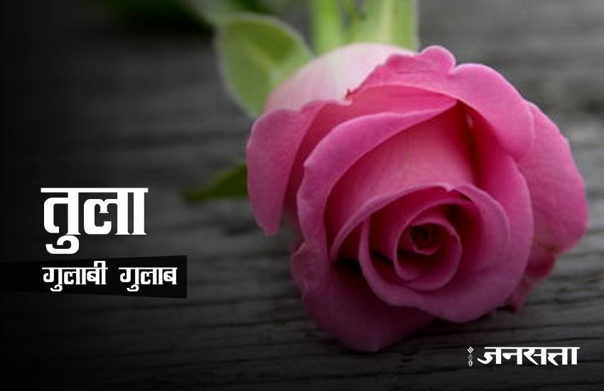 rose day, happy rose day 2017, happy rose day, rose day 2017, rose day images, happy rose day images, rose day images 2017, valentine day, valentine day 2017, rose day tips, rose for girlfriend, rose day gift ideas, rose day gifts, rose day latest news