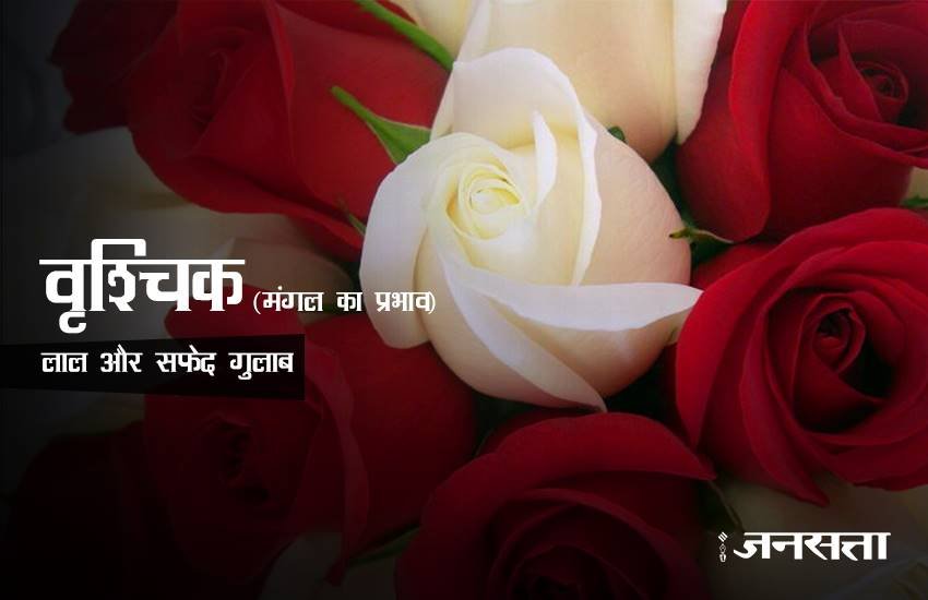 rose day, happy rose day 2017, happy rose day, rose day 2017, rose day images, happy rose day images, rose day images 2017, valentine day, valentine day 2017, rose day tips, rose for girlfriend, rose day gift ideas, rose day gifts, rose day latest news