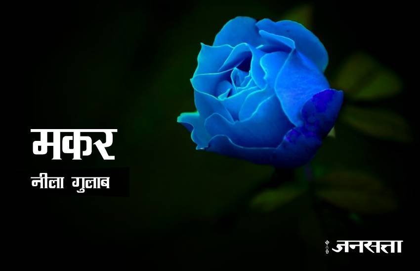 rose day, happy rose day 2017, happy rose day, rose day 2017, rose day images, happy rose day images, rose day images 2017, valentine day, valentine day 2017, rose day tips, rose for girlfriend, rose day gift ideas, rose day gifts, rose day latest news