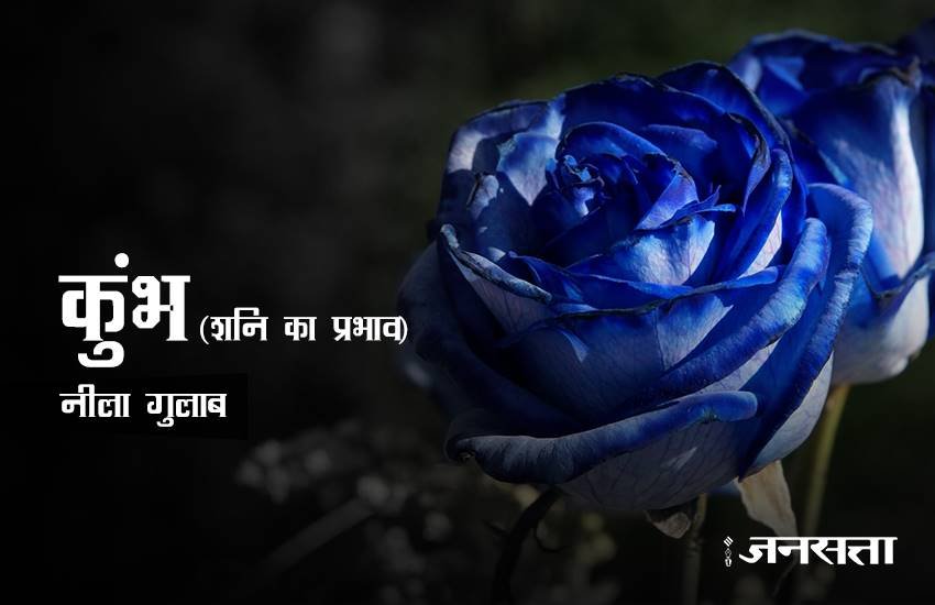 rose day, happy rose day 2017, happy rose day, rose day 2017, rose day images, happy rose day images, rose day images 2017, valentine day, valentine day 2017, rose day tips, rose for girlfriend, rose day gift ideas, rose day gifts, rose day latest news