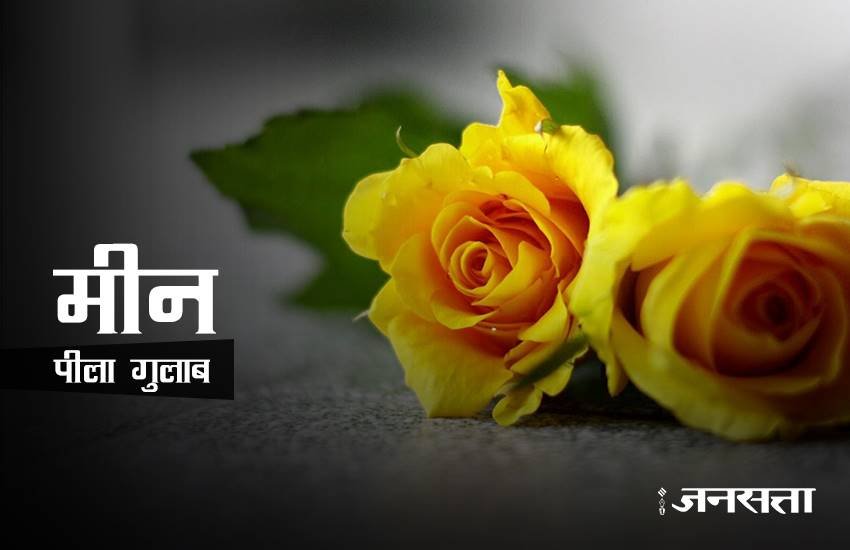 rose day, happy rose day 2017, happy rose day, rose day 2017, rose day images, happy rose day images, rose day images 2017, valentine day, valentine day 2017, rose day tips, rose for girlfriend, rose day gift ideas, rose day gifts, rose day latest news