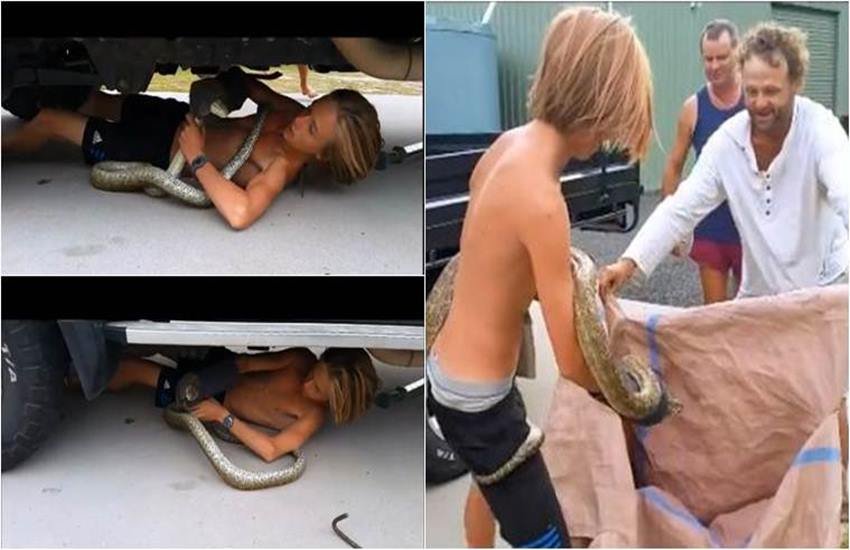 viral video, Aussie teen, snake rescue, snake rescue wirh bare hands, snake, two-metre carpet python, reptile’s tail, reptile’s tail, ऑस्ट्रेलिया, वीडियो वायरल