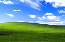 Windows xp का ये वॉलपेपर थी असली तस्वीर, जानिए किस फोटोग्राफर ने किया था इसे क्लिक
