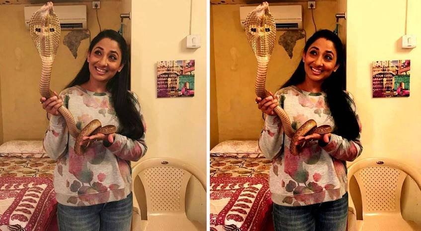 Shruti Ulfat,Shruti Ulfat cobra pic,Nagarjuna - Ek Yoddha actress