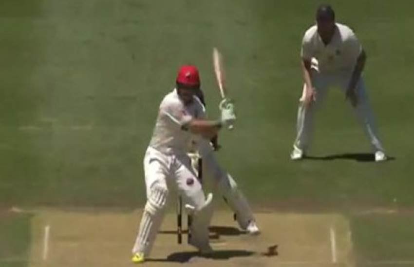 cricket, wicket keeper injury, wicket keeper sam harper, Sheffield Shield match, Sheffield Shield trophy australia, jake lehmann, batsman hit wicket keeper, cricket news