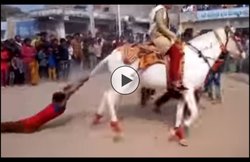 Video: शादी में दोस्त को सूझी ऐसी शरारत, दूल्हे के घोड़े की पूंछ पकड़ लटक गया और फिर…