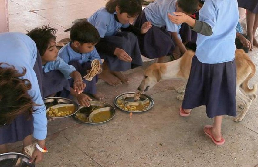 स्कूल में बाउंड्री नहीं होने के कारण कुत्ते स्कूल में घुसकर मिड डे मील खा जाते हैं।