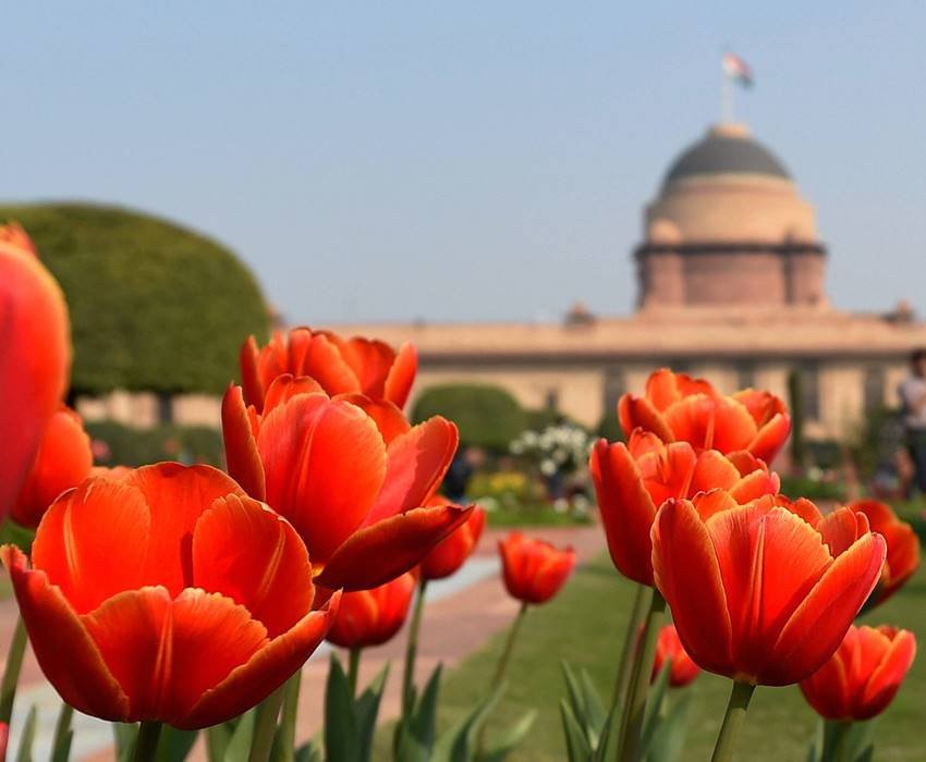 राष्ट्रपति और उनकी संगिनी के नाम पर गुलाब