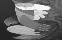 व्यंग्य : मुफ्त में साहित्योत्सव सुख