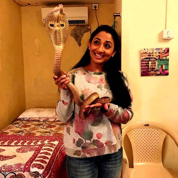 Shruti Ulfat,Shruti Ulfat cobra pic,Nagarjuna - Ek Yoddha actress