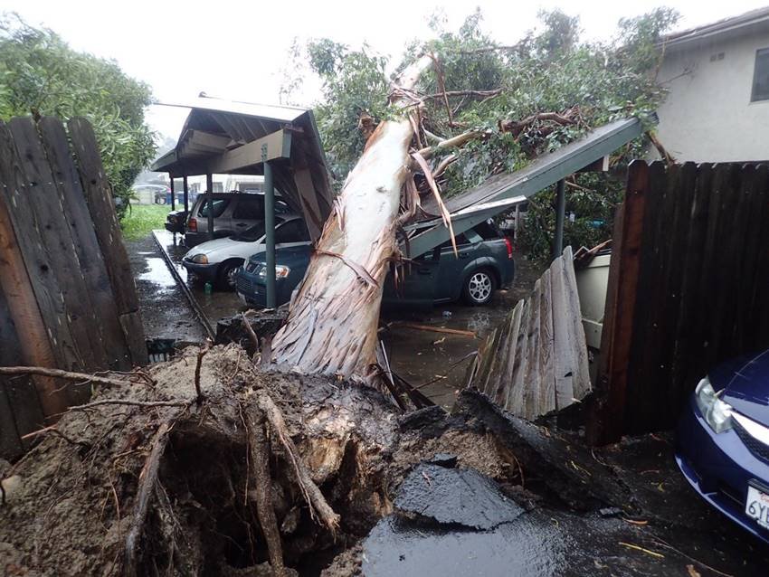southern california, los angeles, rain, storm, biggest storm in 6 years