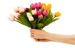 हैप्पी महिला दिवस 2017: व्हाट्सएप और फेसबुक संदेश, इन SMS से भी भेज सकते हैं बधाई