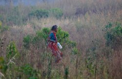 एमपी अजब है: पत्‍नी खुले में शौच गई तो पति हो गया सस्‍पेंड, एक टीचर पहले ही हो चुका निलंबित