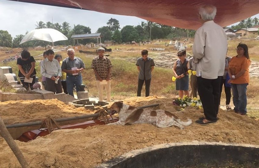 अपनी मालकिन की मौत के बाद कब्र के पास कई घंटों तक पड़ रहा डॉगी 
(Source-Facebook grab)