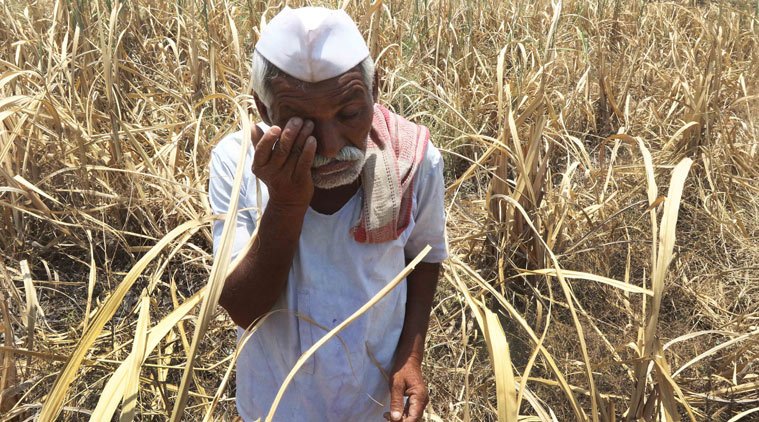 प्रतीकात्मक चित्र
