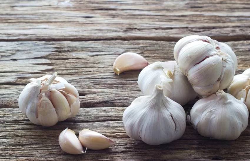 garlic, garlic for health, garlic benefits, garlic on empty stomach, empty stomach garlic, benefits of garlic, health news, health news in hindi