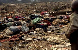 History, History of genocide, West Bengal, genocide course, पश्चिम बंगाल, प्रेसिडेंसी विश्वविद्यालय, जर्मनी , कोऑर्डिनेटर नवरस जाट आफरीदी