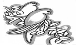 नकल का रोग