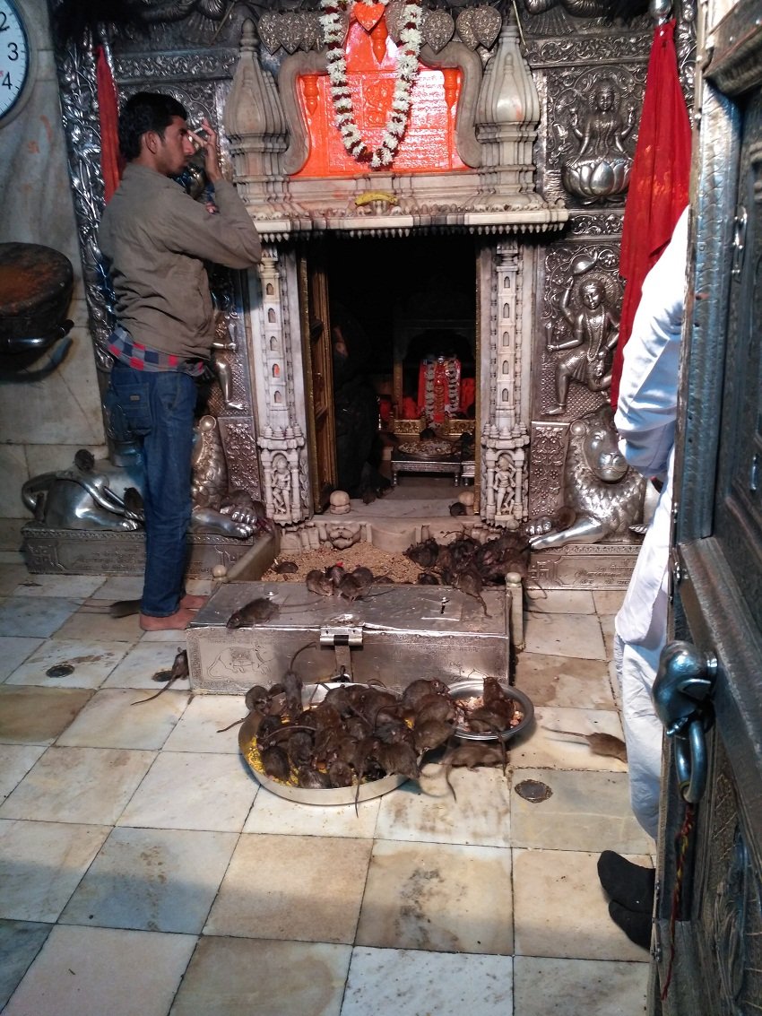 karani mata mandir, karani mata temple