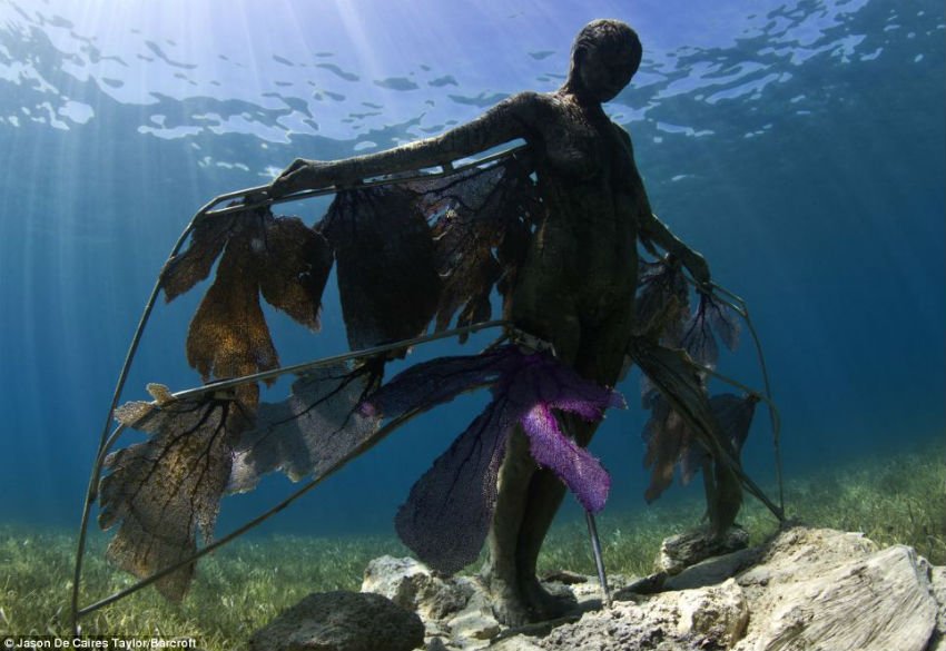 इस म्यूजियम को 2013 में दर्शकों के लिए शुरू कर दिया गया था।